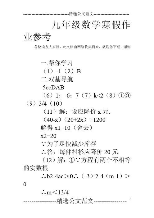 九年级数学寒假作业参考