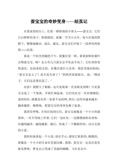 蚕宝宝的奇妙变身——结茧记