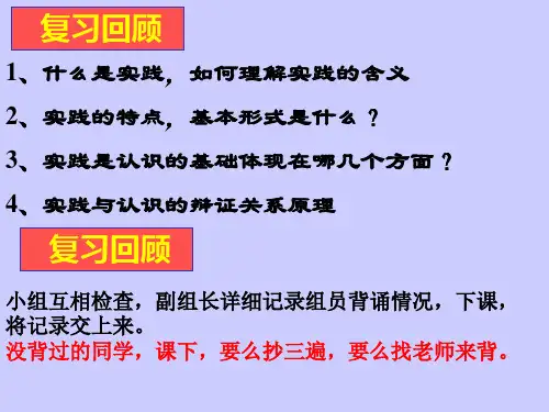在实践中追求和发展真理ppt课件.