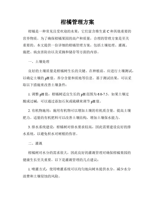 柑橘管理方案