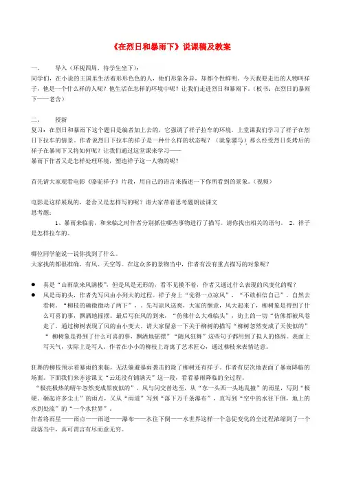 九年级语文上册 第二单元《在烈日和暴雨下》说课稿及教案 苏教版