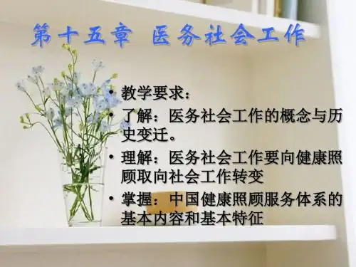 社会工作概论第十五章 PPT课件