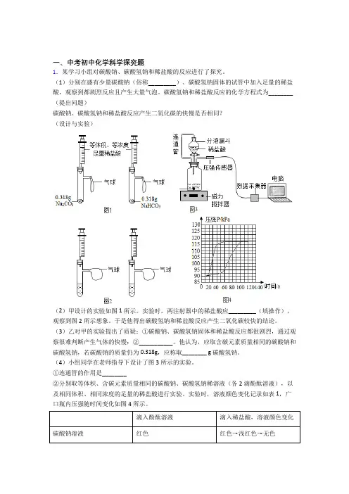 备战中考化学复习探究题专项易错题及答案解析