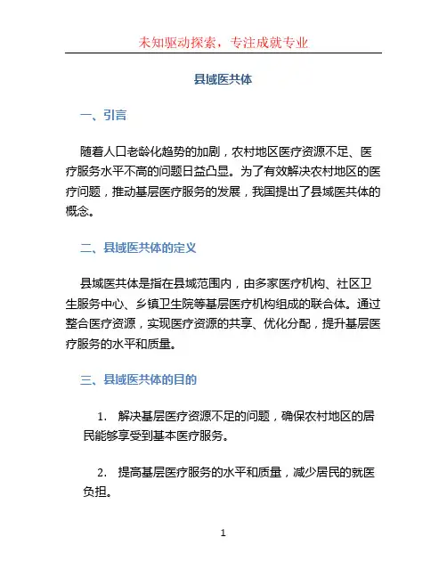 县域医共体ppt