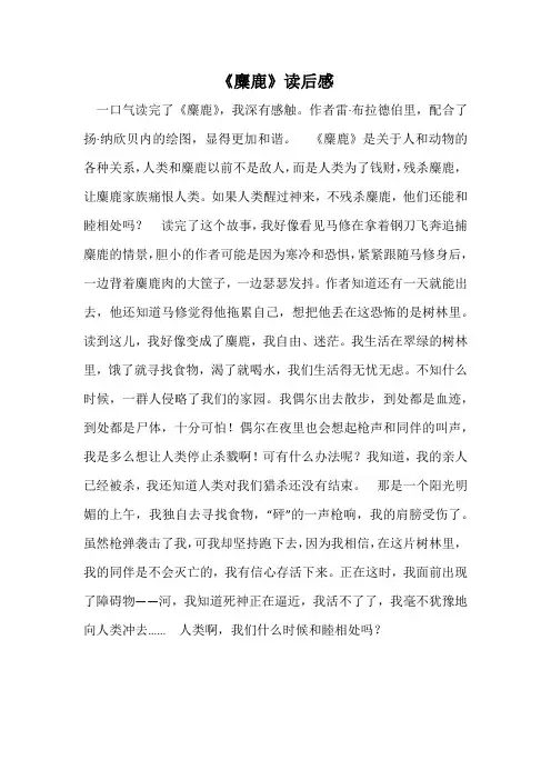 《麋鹿》读后感