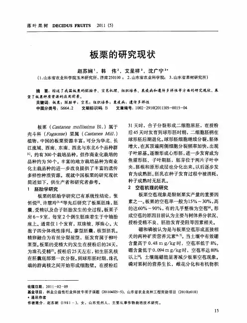 板栗的研究现状