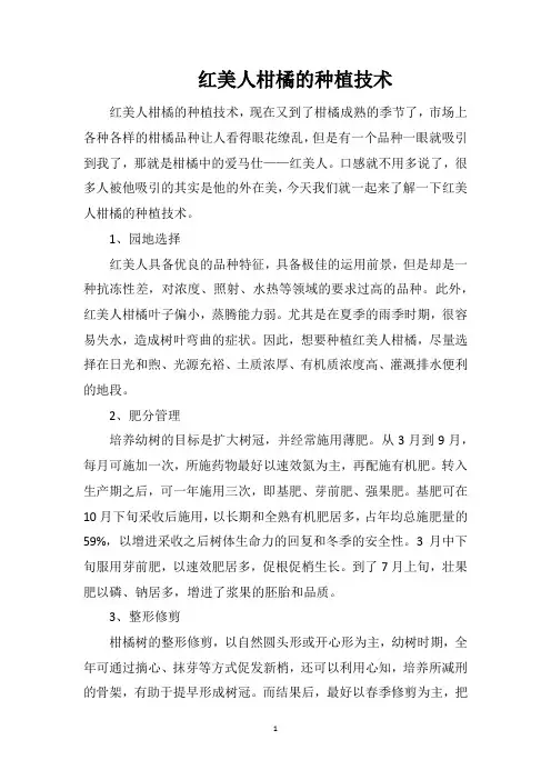 红美人柑橘的种植技术