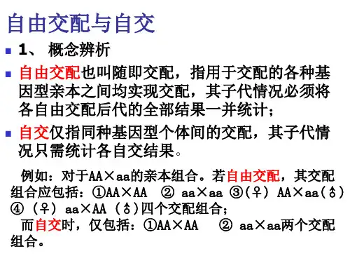必修2、1-2、自由组合定律