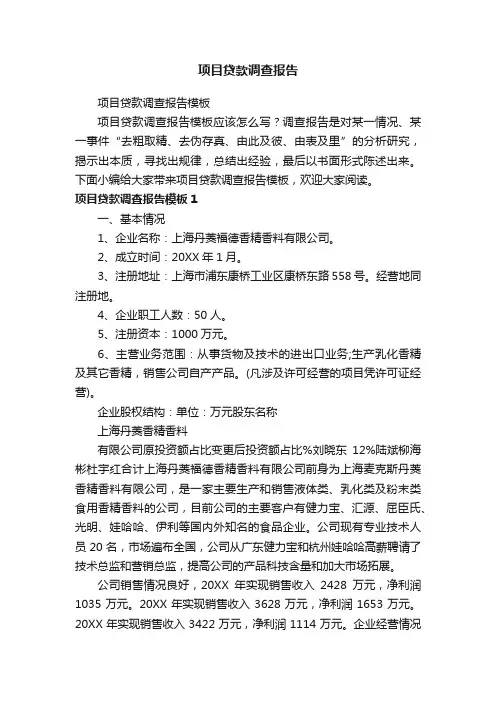 项目贷款调查报告模板