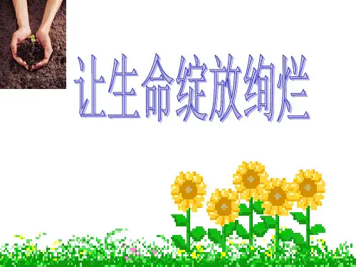 《让生命绽放绚烂》主题班会