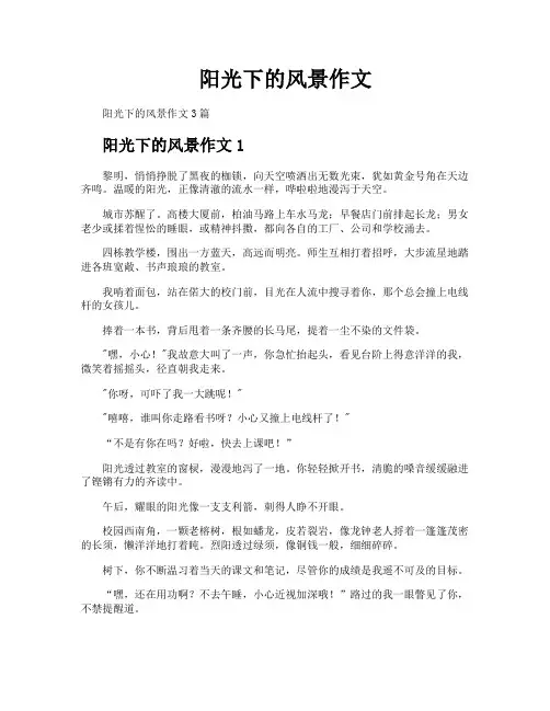 阳光下的风景作文