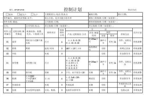 试生产控制计划
