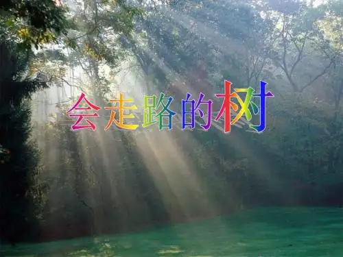 《会走路的树》PPT优秀课件3