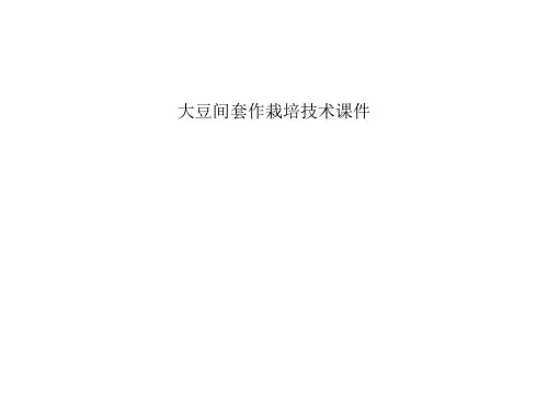 大豆间套作栽培技术课件
