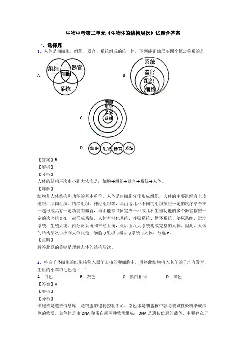 生物中考第二单元《生物体的结构层次》试题含答案