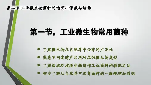 工业微生物常用菌种