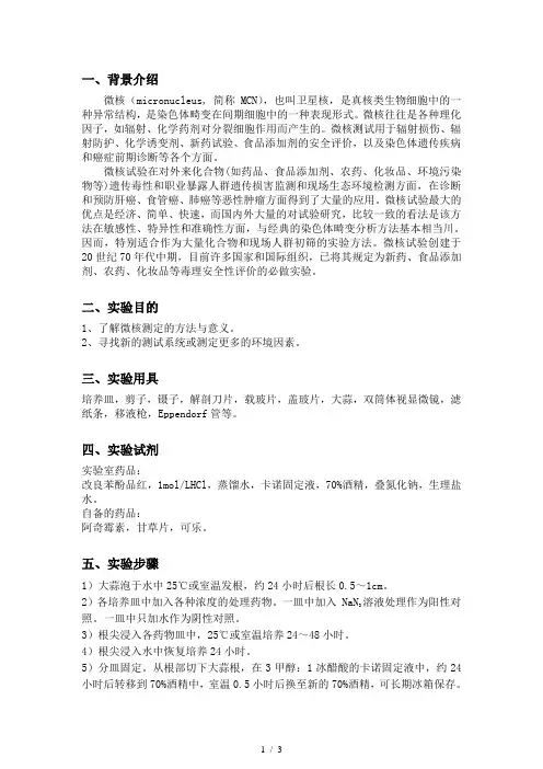 各种药品试剂对大蒜根尖的微核实验