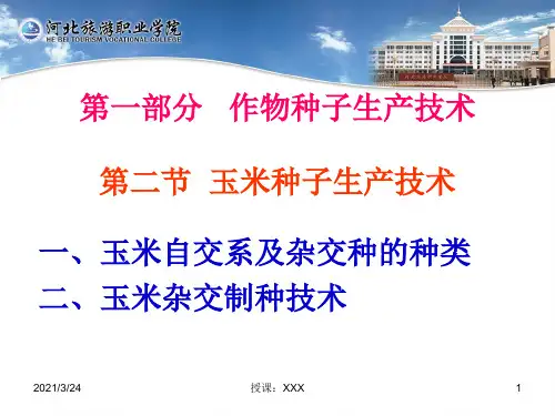 玉米杂交种子生产技术PPT课件