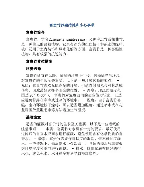 富贵竹养殖措施和小心事项