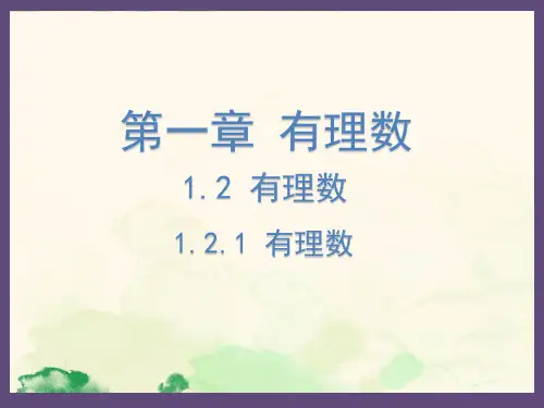 1.2.1 有理数  课件