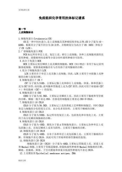 病理科免疫组化常用抗体