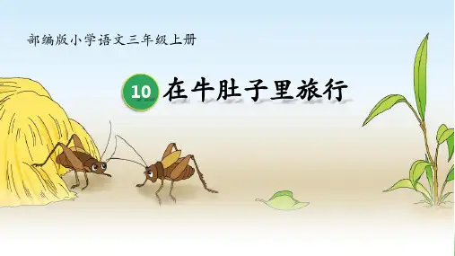在牛肚子里旅行ppt课件