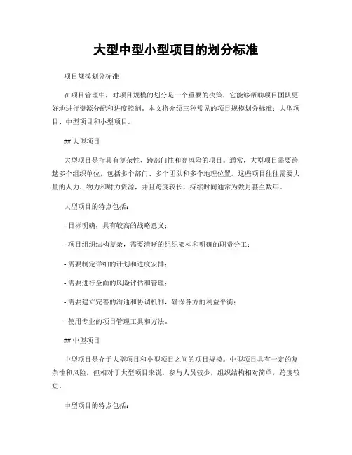 大型中型小型项目的划分标准