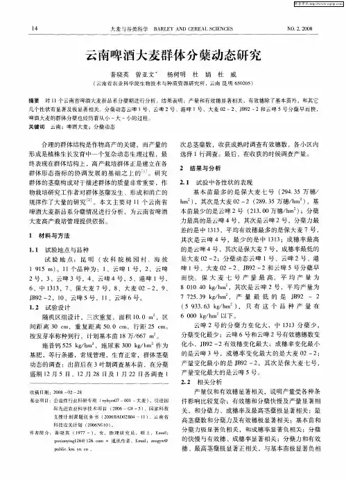 云南啤酒大麦群体分蘖动态研究
