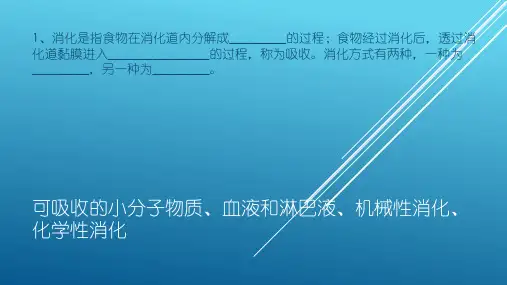 第六章 《消化与吸收》试题