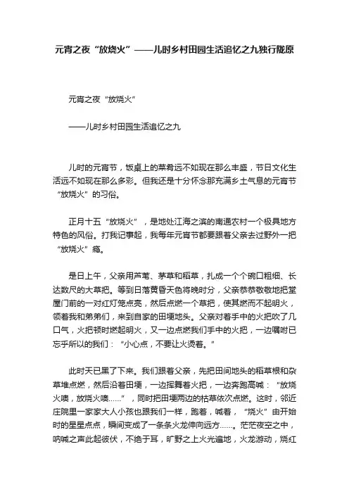 元宵之夜“放烧火”——儿时乡村田园生活追忆之九独行陇原