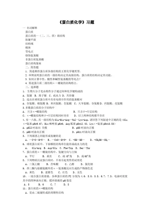 蛋白质化学习题