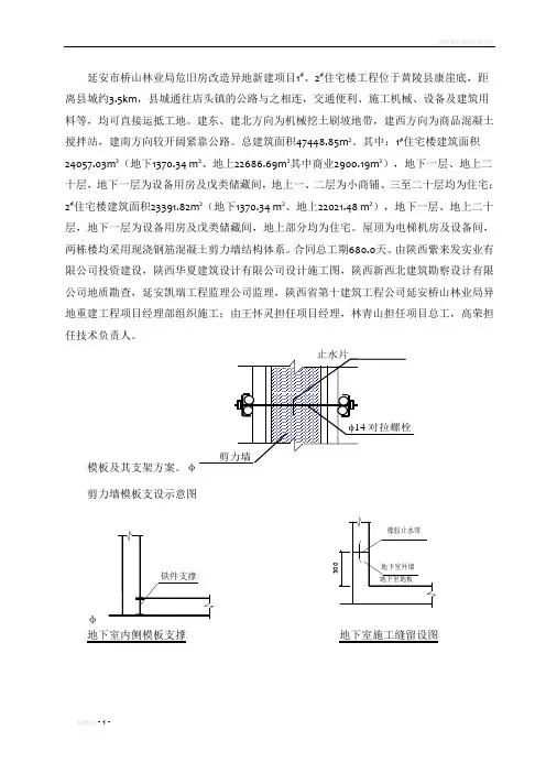 地下室剪力墙模板专项施工方案