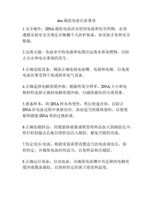 dna凝胶电泳注意事项