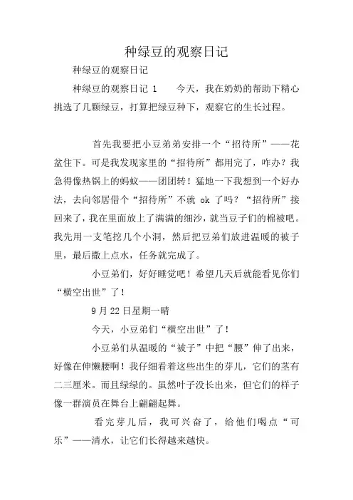 种绿豆的观察日记