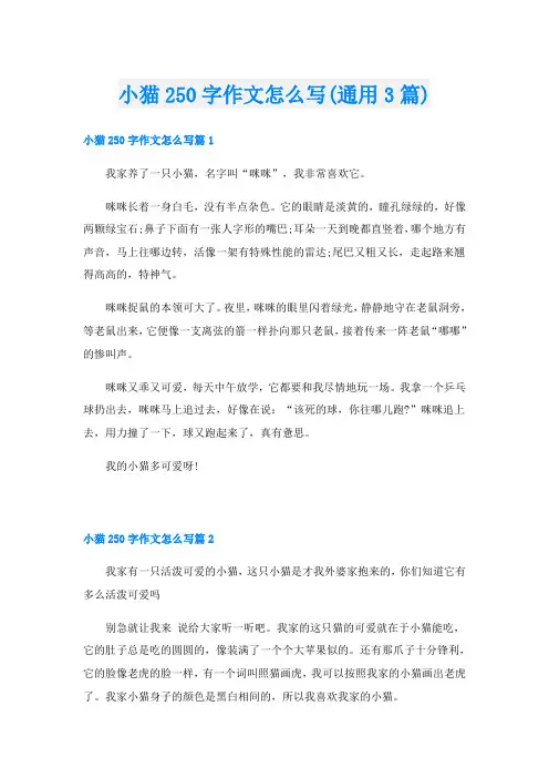 小猫250字作文怎么写(通用3篇)