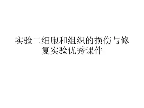 实验二细胞和组织的损伤与修复实验优秀课件