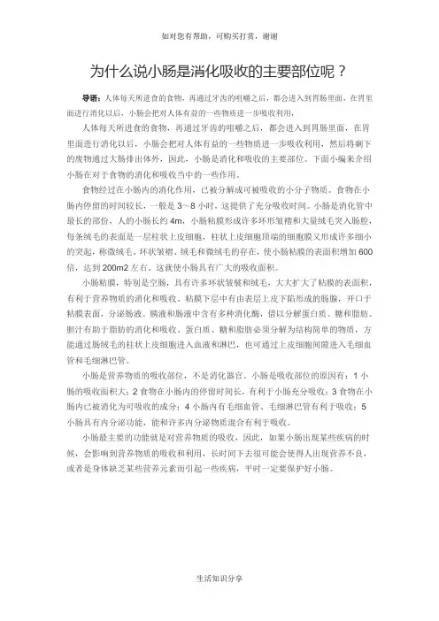为什么说小肠是消化吸收的主要部位呢？