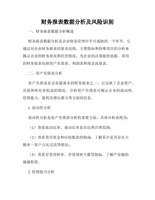 财务报表数据分析及风险识别