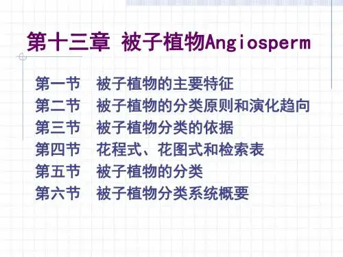 被子植物北京师范大学刘全儒老师植物分类学课件