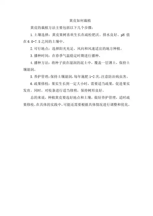 黄皮如何栽植