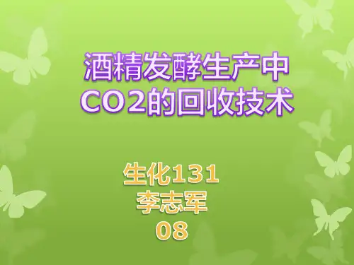 酒精发酵生产中CO2的回收技术