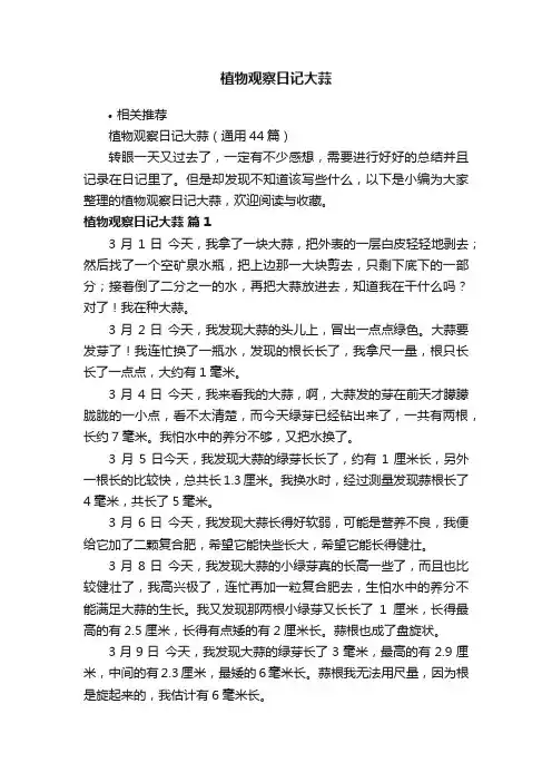 植物观察日记大蒜