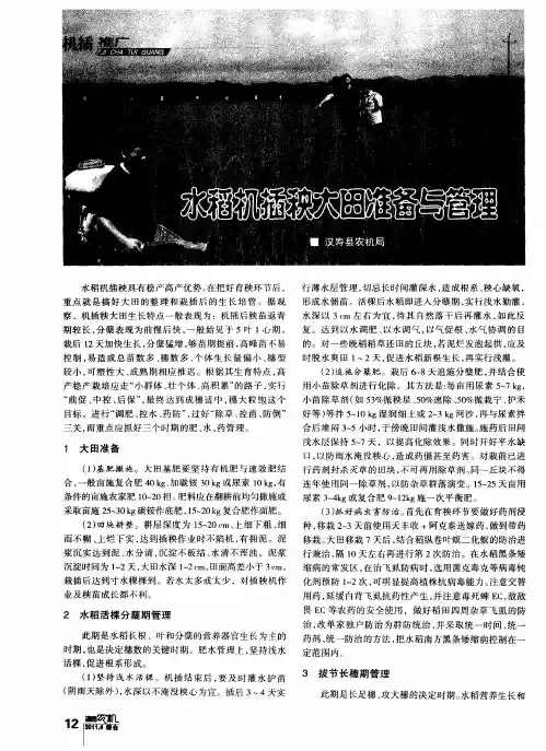 水稻机插秧大田准备与管理