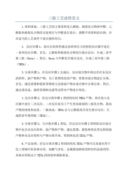 三胺工艺流程范文