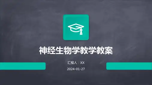 神经生物学教学教案
