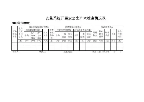 安监系统开展安全生产大检查情况表