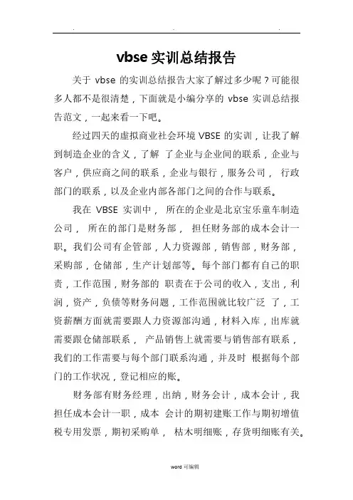 vbse实训总结报告