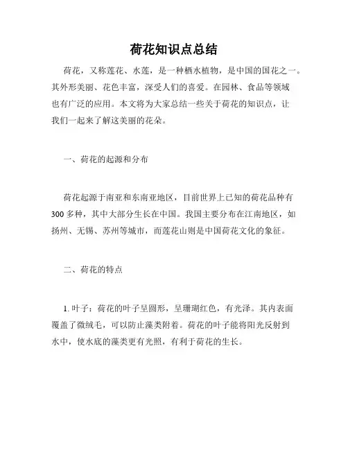 荷花知识点总结