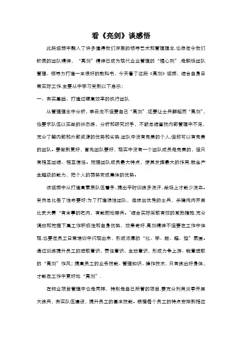 观《亮剑》有感