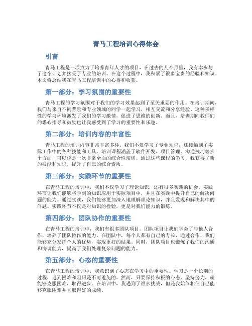 青马工程培训心得体会